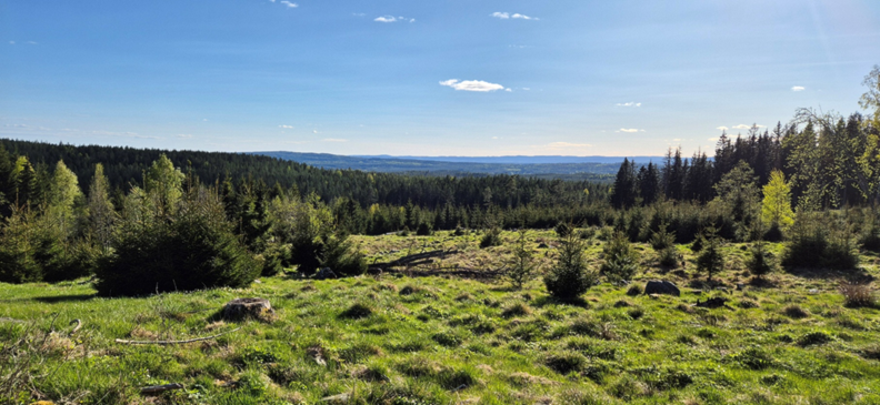 KM på Jøndalsvangen 23. august